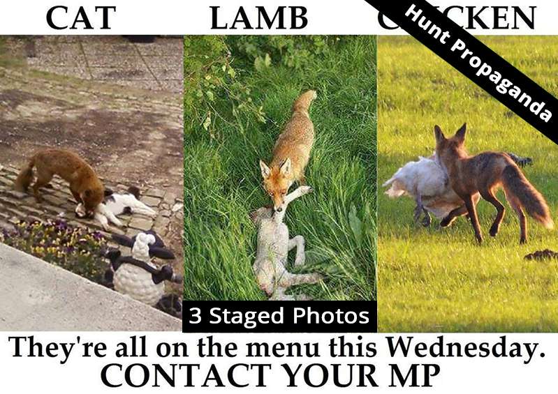 Anti fox propaganda by hunt supporters on social media