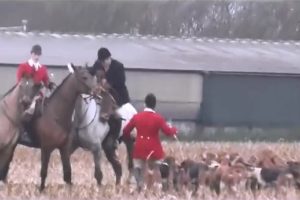 ‘Not enough evidence’ to prosecute Warwickshire fox hunt members despite video footage