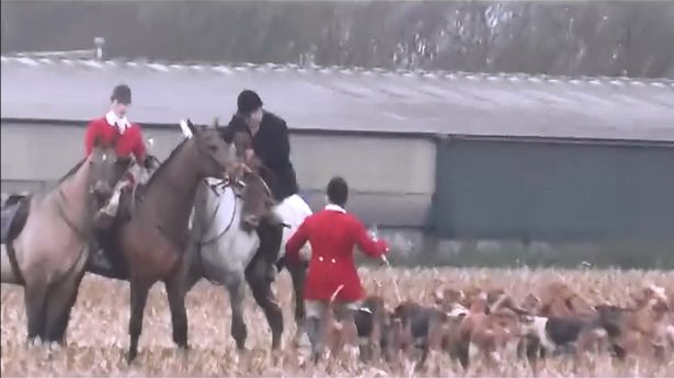 Still from video of Atherstone Hunt with body of dead fox