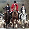 Fox hunter arrested for robbery