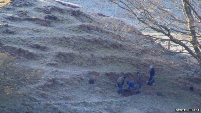 The father and son were photographed digging into a badger sett in Lanark