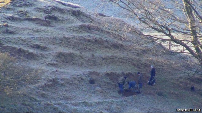 The father and son were photographed digging into a badger sett in Lanark