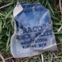 Concern voiced over ‘inaction’ after badger death