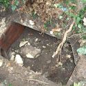 Hunt sabs discover artificial earth close to hunt meet