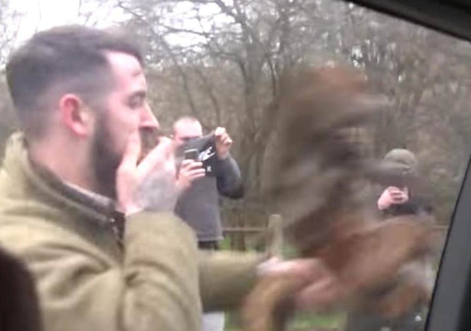 Badsworth and Bramham Moor Hunt supporter hammers the fox at the window