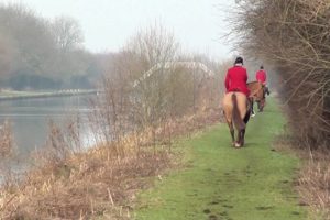 Yorkshire Hunt members charged with Hunting & Badger Act offences