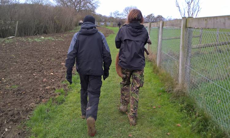 Belvoir Hunt: Hunt saboteurs removed one of the dead foxes