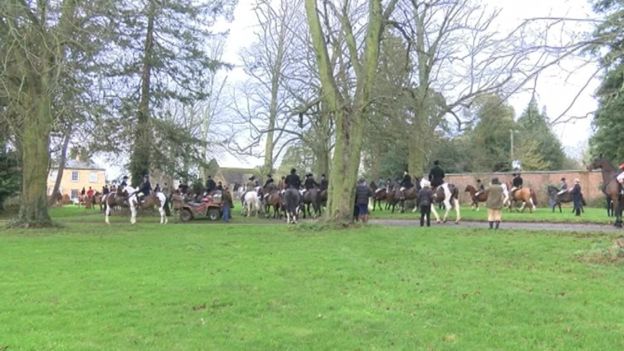 The fox was found captive three days before the Belvoir Hunt were due to meet in December 2015