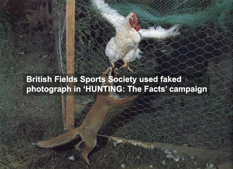 Hunters Use Faked Photos In Anti-Fox Campaign