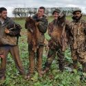 Gang sentenced for killing badgers after being stopped near York