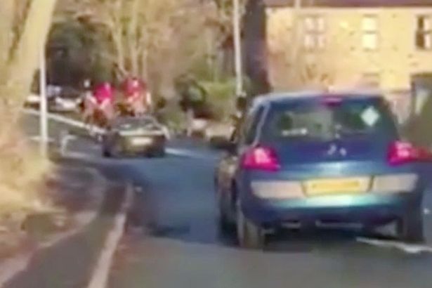 Braes of Derwent Hunt hounds run into the path of traffic in County Durham