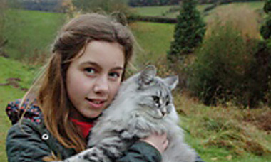 Cat hunted by Ross Harrier hounds