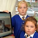 RSPCA officers probe second attack on cats