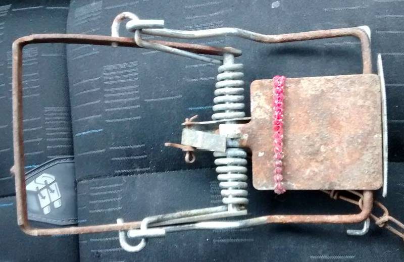 This rusty trap was found attached to a cat’s leg