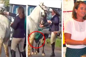 RSPCA investigates Cottesmore hunt member filmed kicking and slapping horse