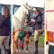 RSPCA investigates Cottesmore hunt member filmed kicking and slapping horse