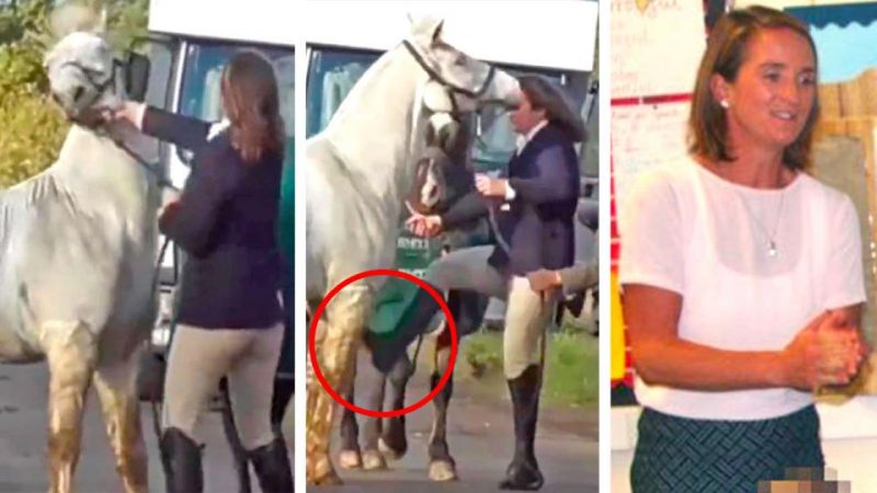 Cottesmore Hunt: Woman kicks and slaps horse