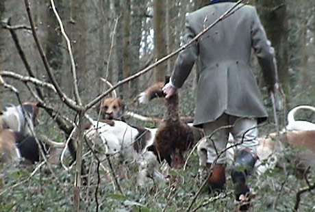 KILL: One of two kills by the Crawley and Horsham Hunt