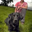 Dog’s three week hell in farmer’s fox trap
