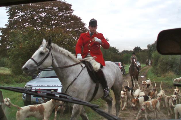 Hounds and hunt staff of the East Kent with West Street Hunt