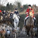 Family’s horror as huntsman clubs fox to death