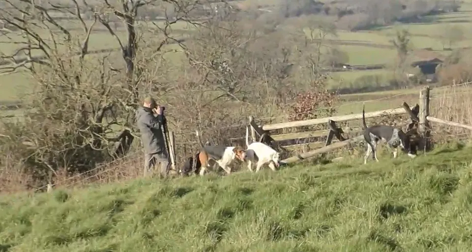 Ex League investigators monitoring the Beaufort Hunt