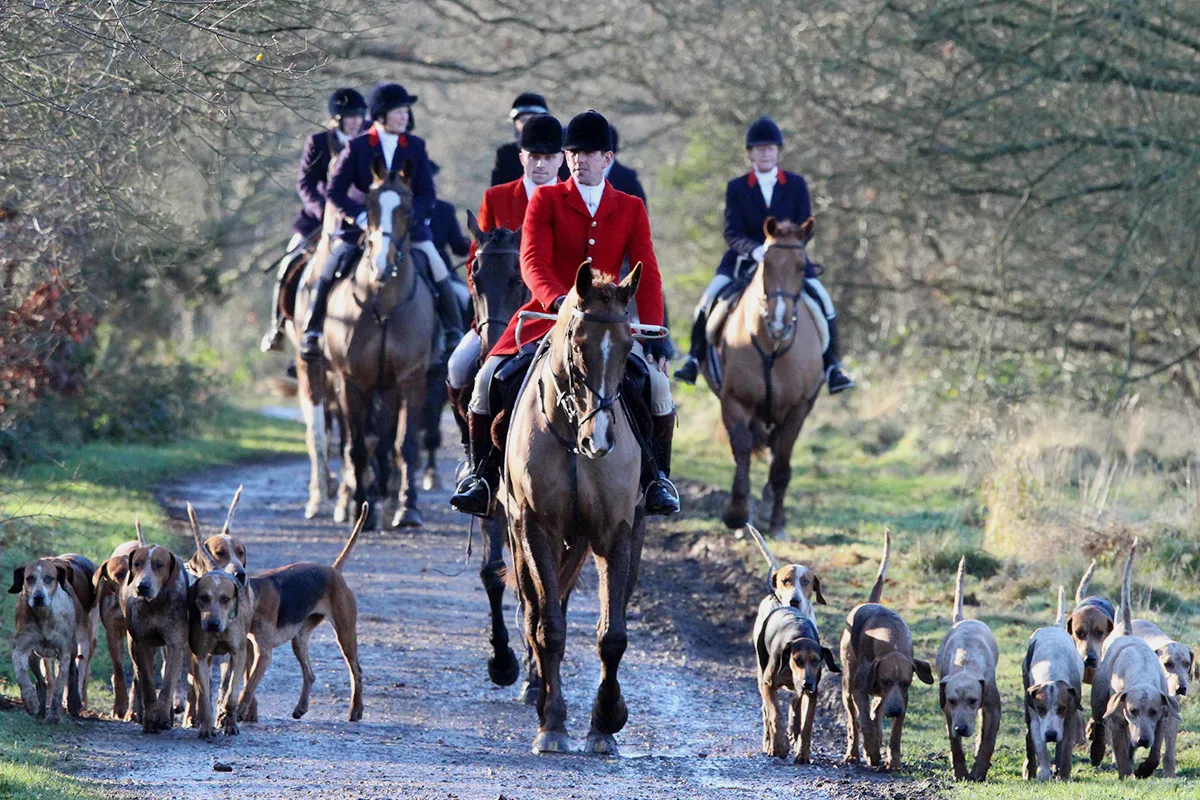 Fox-hunting in England and Wales
