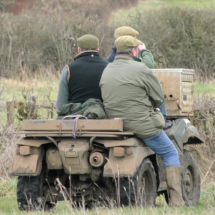 Fox Hunting hunt terrier work