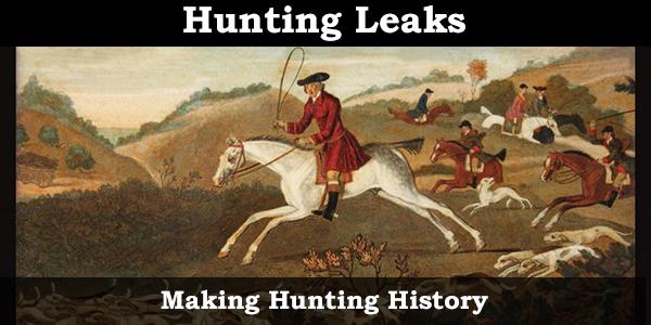 Hunting Leaks