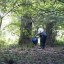 Hunt artificial fox earths exposed