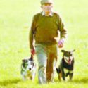 Callous huntsman can now keep dogs
