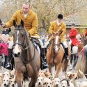 Top Tory’s fox hunt kills off 25 of its own hounds after bovine TB outbreak