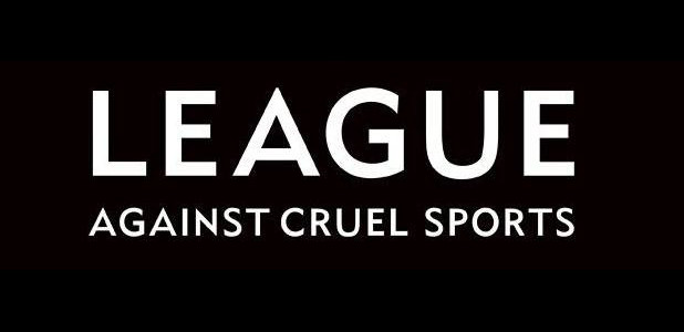 Claro Beagles Huntsman facing trial for illegal hunting