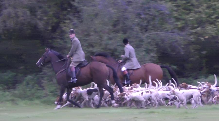 Six members of the Meynell and South Staffordshire Hunt charged