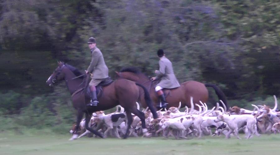 Meynell and South Staffordshire Hunt