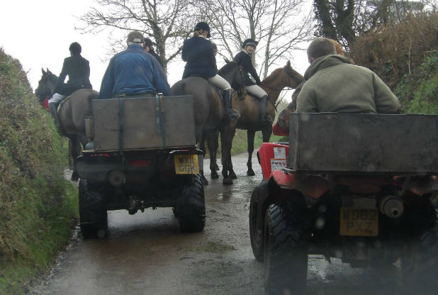 Minehead Harriers terriermen