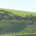 Pro-hunt slogan damages hillside