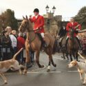 Hunt hounds chase fox into Shropshire housing estate