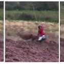 Animal Cruelty: Torment of a Stag