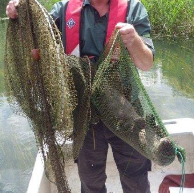 Two otters were found dead in illegal fishing nets on the Norfolk Broads.