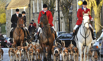 Hunt breakaway group ‘reckless and dangerous’