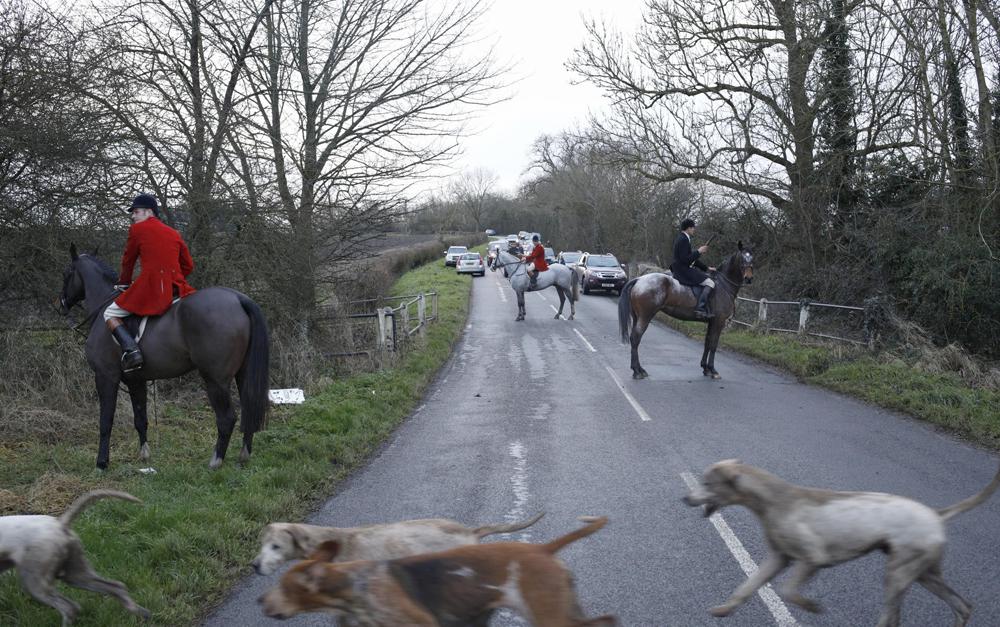 Foxhounds chased fox over open grave during burial