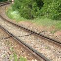 Seven dogs killed on railway line during ‘drag hunt’