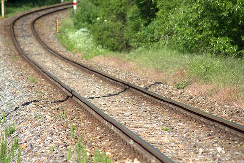 Hunting hound killed after straying on to train track
