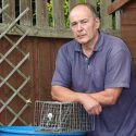 Wildlife killing costs man £1,500