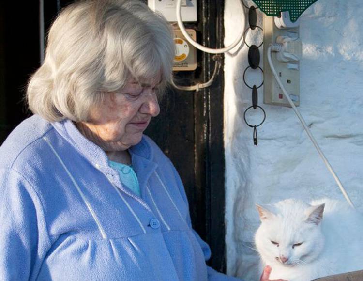 Beloved: Janet Clarke with her cat, Fluffy, who was ripped apart by hunting hounds