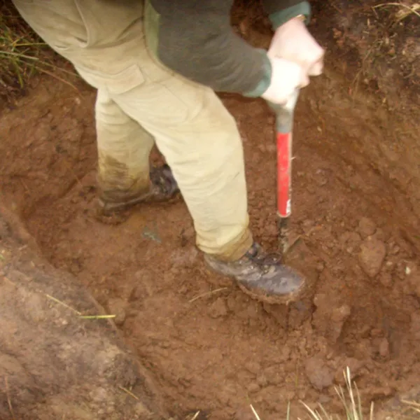 Terrier work digging out foxes and badgers for sport