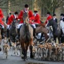 Huntsman denies claim that bagged foxes were used in County Durham