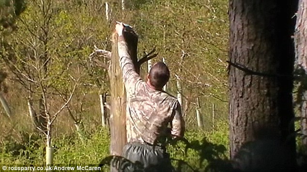 The 26-year-old told Harrogate Magistrates' Court that he set the traps with the intention of catching grey squirrels
