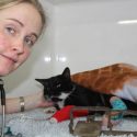 RSPCA probe after Warwick cat loses toes in illegal trap
